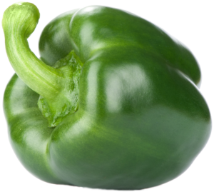 Vegetable ingredient