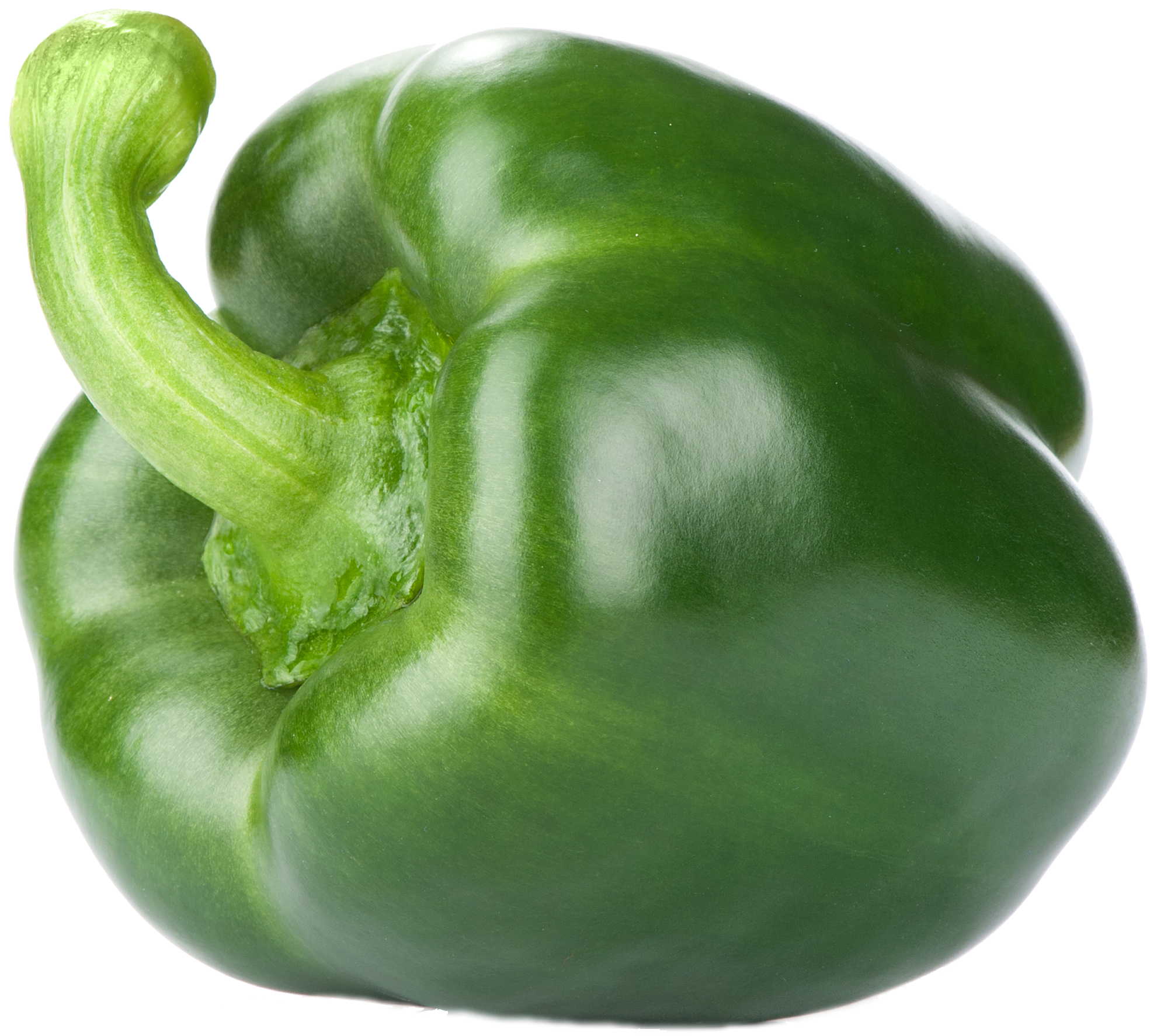 Vegetable ingredient